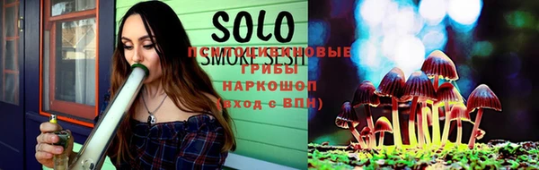 спайс Корсаков