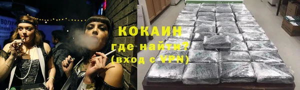 спайс Корсаков