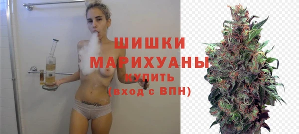 спайс Корсаков